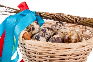 Bıldırcın yumurta Paskalya tavşanı ile bir çanta içinde