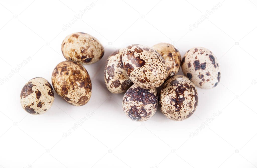quail egg isolated on a white background