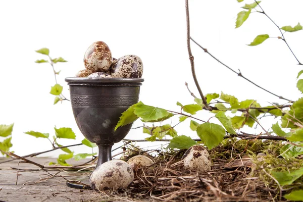 Wachteleier Auf Weißem Hintergrund Und Äste Hintergrund — Stockfoto