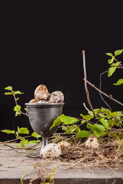 Siyah Bir Arka Plan Şubeler Ile Arka Planda Bıldırcın Yumurtası — Stok fotoğraf