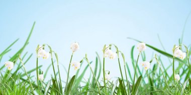 Poster, çim üzerinde mavi bir arka plan bahar kar