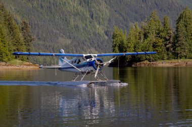 Alaska Ketchikan yakınlarındaki ücra bir körfeze deniz uçağı iniyor..