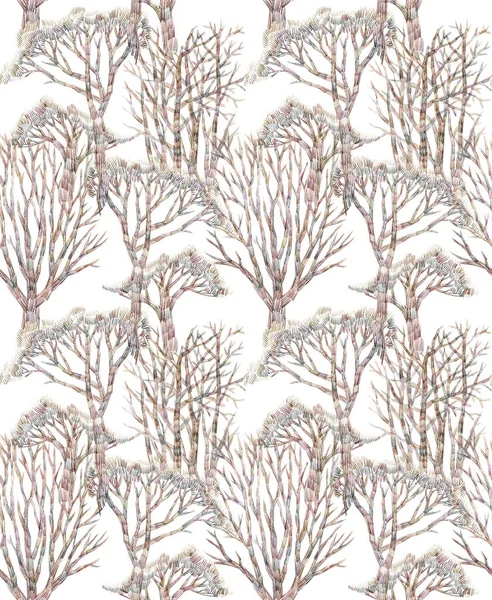 Foto Stock Matita Disegno Albero Secco Foto Immagini Matita Disegno Albero Secco Depositphotos