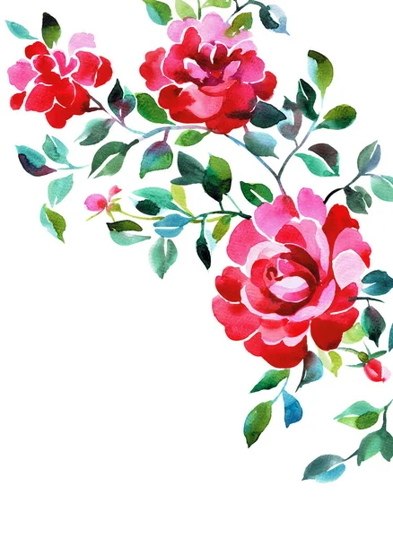 Floral card design. Drawn opulent roses  with empty space in the center. Botanical frame made of flowers isolated on white. Great for postcard, greeting, wedding and invitation cards, placing text.