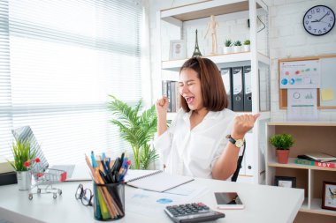 Business women are happy and satisfied with the work at the office. 
