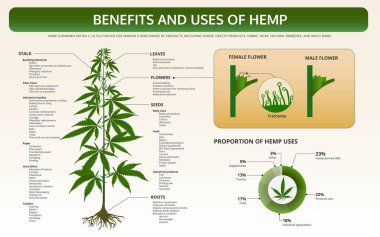 Hemp yatay ders kitabının faydaları ve Kullanımları