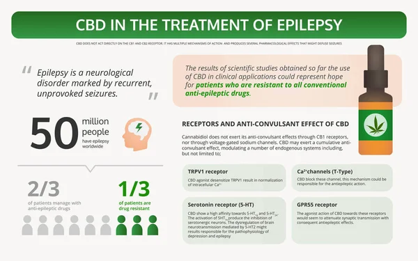 Cannabis bei der Behandlung von Epilepsie horizontal Lehrbuch-Infografik — Stockvektor