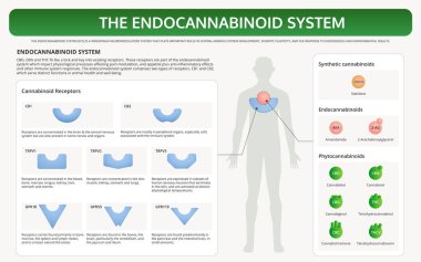 Endocannabinoid Sistemi yatay ders kitabı bilgisi