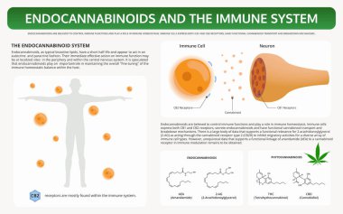 Endocannabinoidler ve Bağışıklık Sistemi Yatay Ders Kitabı Bilgileri
