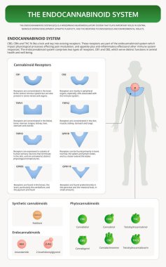 Endocannabinoid Sistemi dikey ders kitabı bilgisi