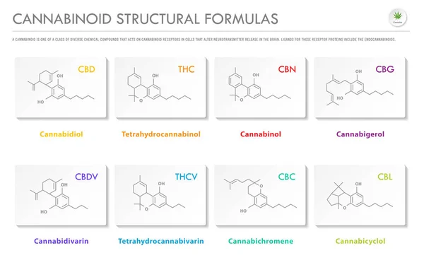 Strukturformeln der wichtigsten natürlichen Cannabinoide horizontal busi — Stockvektor