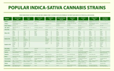 Popüler Indica Sativa Cannabis Yatay Infographic Co.