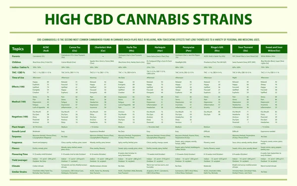 Infografica orizzontale High CBD Cannabis Strains — Vettoriale Stock