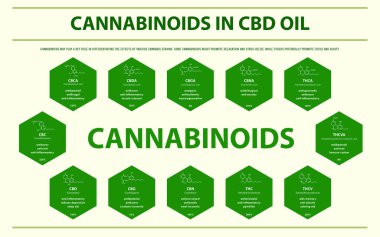 CBD Yağı 