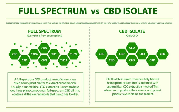 Espectro Completo Cbd Isolar Ilustração Infográfica Horizontal Sobre Cannabis Como — Vetor de Stock