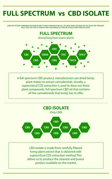 Espectro Completo Cbd Isolar Ilustração Infográfica Vertical Sobre Cannabis Como — Vetor de Stock