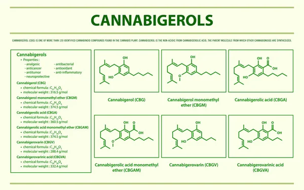 Cannabigerol Cbg Mit Strukturformeln Cannabis Horizontale Infografische Illustration Über Cannabis — Stockvektor