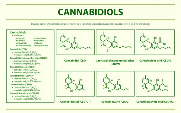 Cannabidiol Cbd Mit Strukturformeln Cannabis Horizontale Infografische Illustration Über Cannabis — Stockvektor