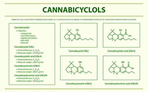 Cannabicyclol Cbl Mit Strukturformeln Cannabis Horizontale Infografische Illustration Über Cannabis — Stockvektor