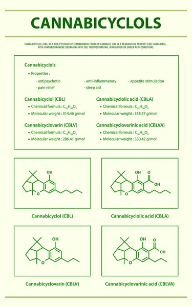 Cannabicyclol Cbl Mit Strukturformeln Cannabis Vertikale Infografische Illustration Über Cannabis — Stockvektor