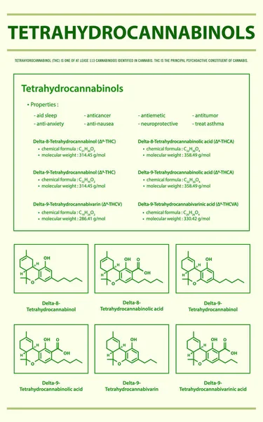 Tetrahydrocannabinol Thc Mit Strukturformeln Cannabis Vertikale Infografische Illustration Über Cannabis — Stockvektor