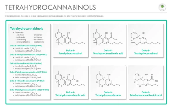 Tetrahydrocannabinol Thc Avec Des Formules Structurelles Dans Cannabis Illustration Infographique — Image vectorielle