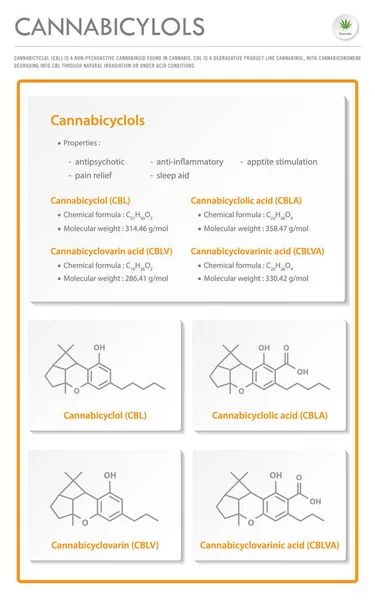 Cannabicyclol Cbl Mit Strukturformeln Cannabis Vertikale Geschäftliche Darstellung Über Cannabis — Stockvektor