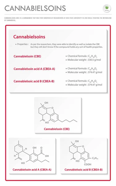 Cannabielsoin Cbe Mit Strukturformeln Cannabis Vertikale Geschäftliche Darstellung Über Cannabis — Stockvektor