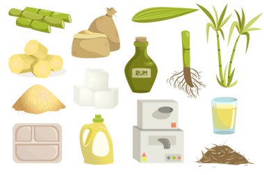 kamış şekeri üretimi