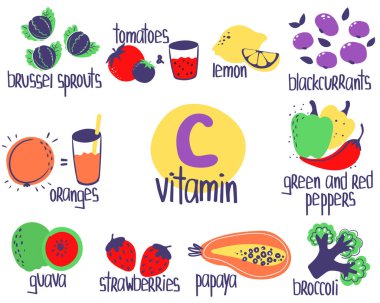 Elle çizilmiş C vitamini askorbik gıda kaynakları: limon, portakal, guava, böğürtlen, papaya, brokoli, brussel lahanası. Vektör illüstrasyonu farmakolojik ya da tıbbi poster, broşür.