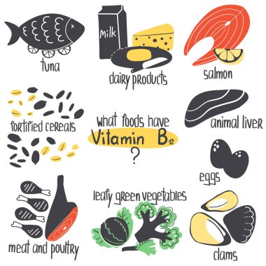 Vitb12 gıda kaynakları