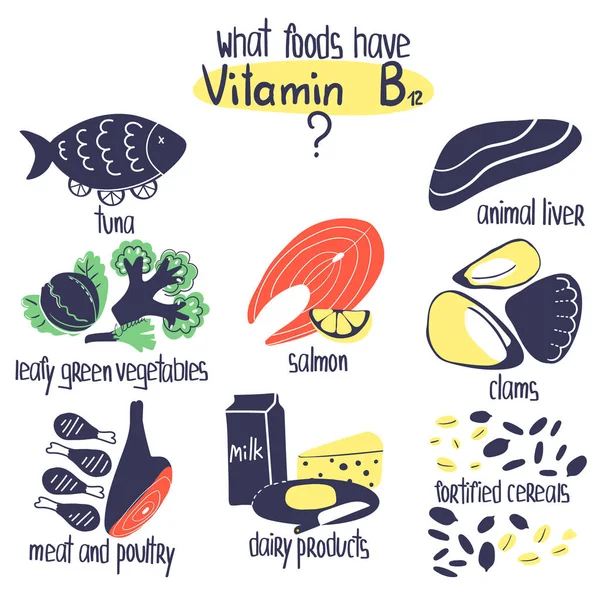 Πηγές τροφίμων Vitb12 — Διανυσματικό Αρχείο