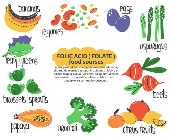 folik asit besin kaynakları