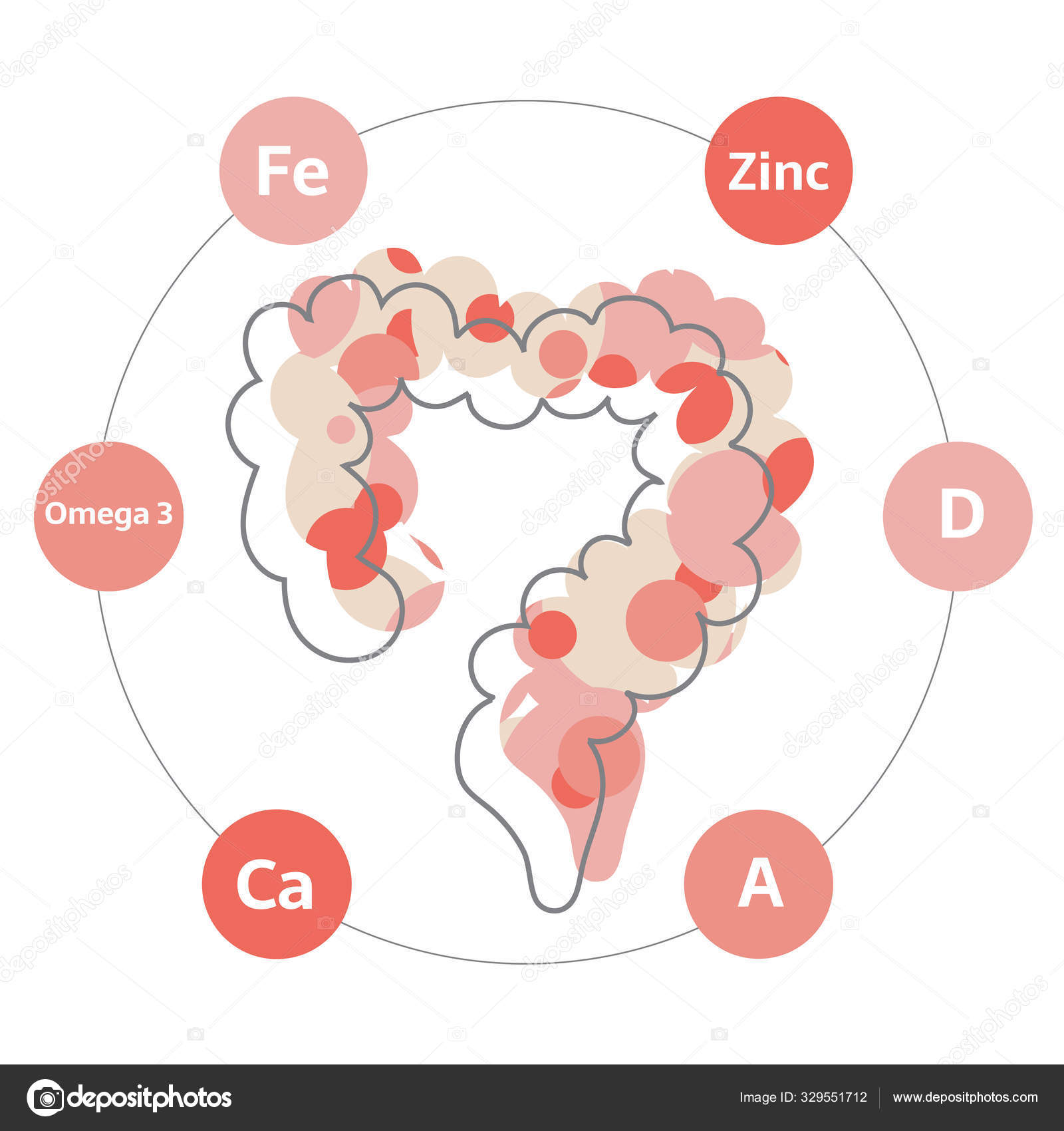 Healthy abstract intestines Stock Illustration by ©OllyKava 329551712
