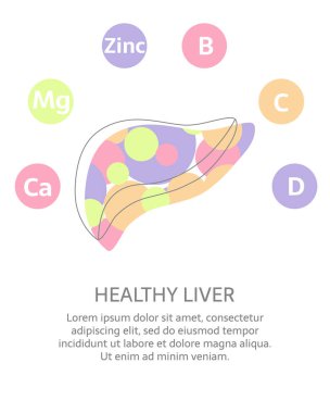 Sağlıklı karaciğer için mineraller ve vitaminler. B, C, D, Zinc, Mg, Ca vitaminlerinin yuvarlak bir tasviri. Metnin için yeri olan soyut vektör pankartı. 