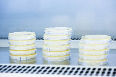 Yeni test laboratuvarı bilim