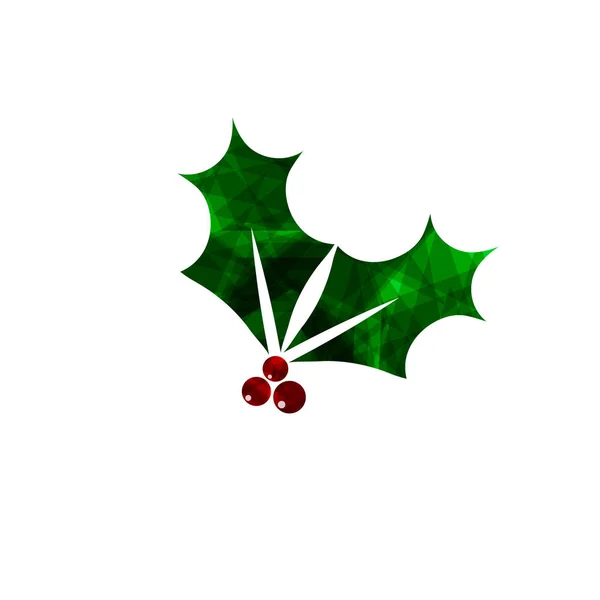 Ikona Jagód Holly Jemioła Świąteczna Szablon Projektu Graficznego Symbol Xmas — Wektor stockowy