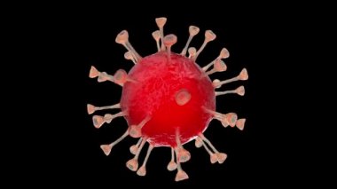 Coronavirus. COVID-19. 19-NCOV. Üç boyutlu görüntüleme. Döngü