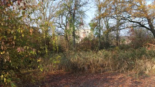 Comète sur le ciel nocturne