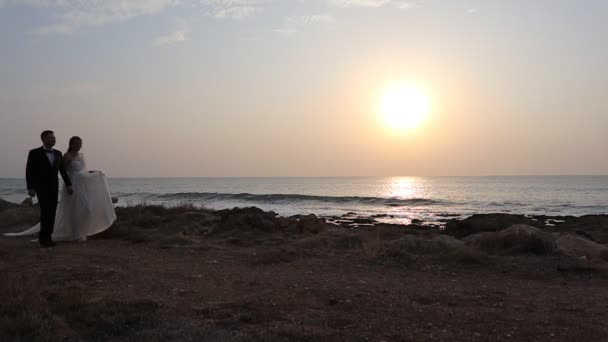 Mariée Marié Regardant Coucher Soleil Sur Plage Après Leur Mariage — Video