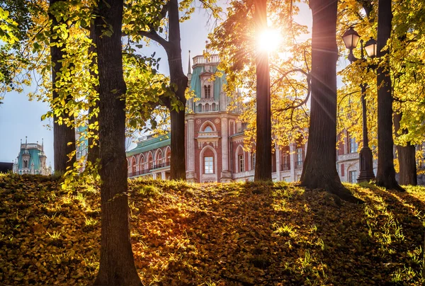 Senkrechte des Herbstes — Stockfoto