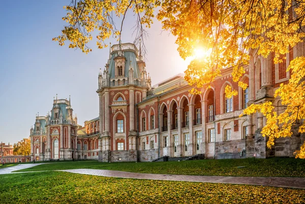 Árvore solar perto do palácio de Tsaritsyno — Fotografia de Stock