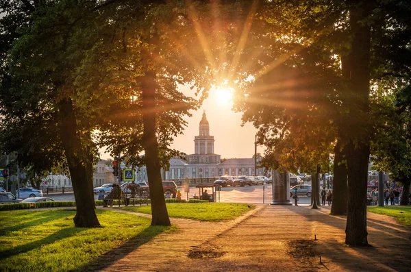 Curiosities and sun — Stock Photo, Image