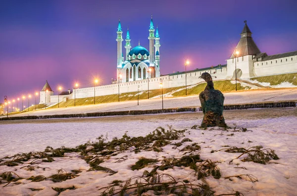 Διαχειμάζουν παγώνι κοντά το Κρεμλίνο του Καζάν — Φωτογραφία Αρχείου