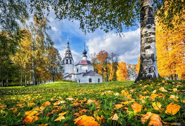 Cathédrale de l'Assomption à Ples — Photo