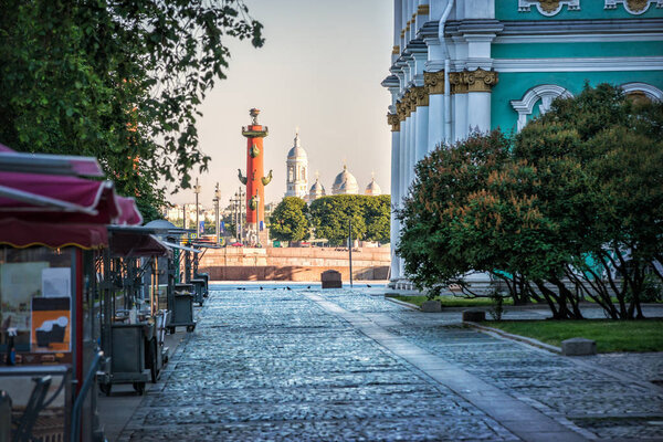 Ростральная колонна и Владимирский собор
