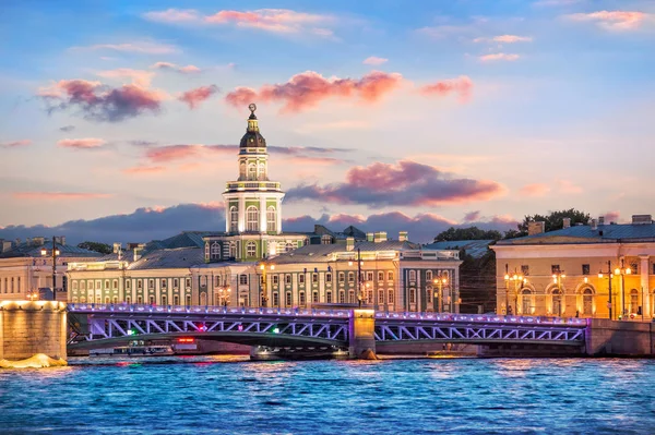 Kunstkamera e il ponte del Palazzo — Foto Stock