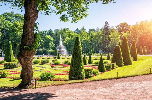 Fontanna w parku w Peterhof rysunek — Zdjęcie stockowe