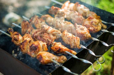 Gelen tavuk şiş kebap