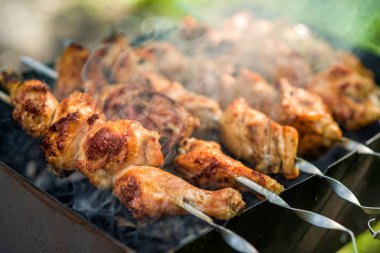 Gelen tavuk şiş kebap